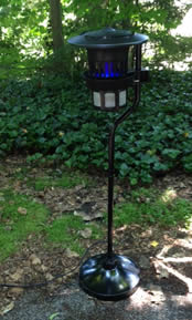 mosquito trap near woods